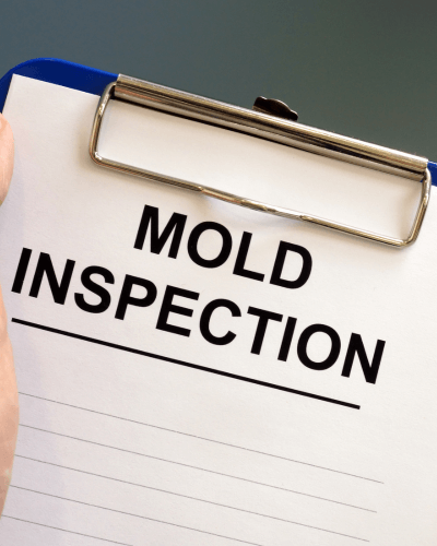 mold inspection