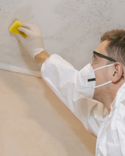 Post Mold Remediation Verification