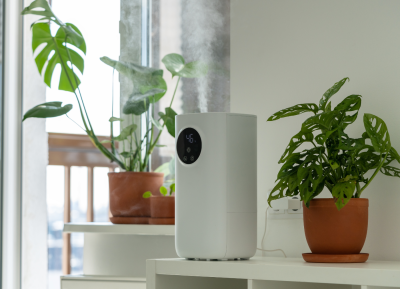 Breathing Easy The Future of Air Purification in Singapore with Lumiair
