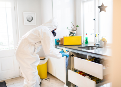 How to Tackle Home Decontamination and Damage Restoration