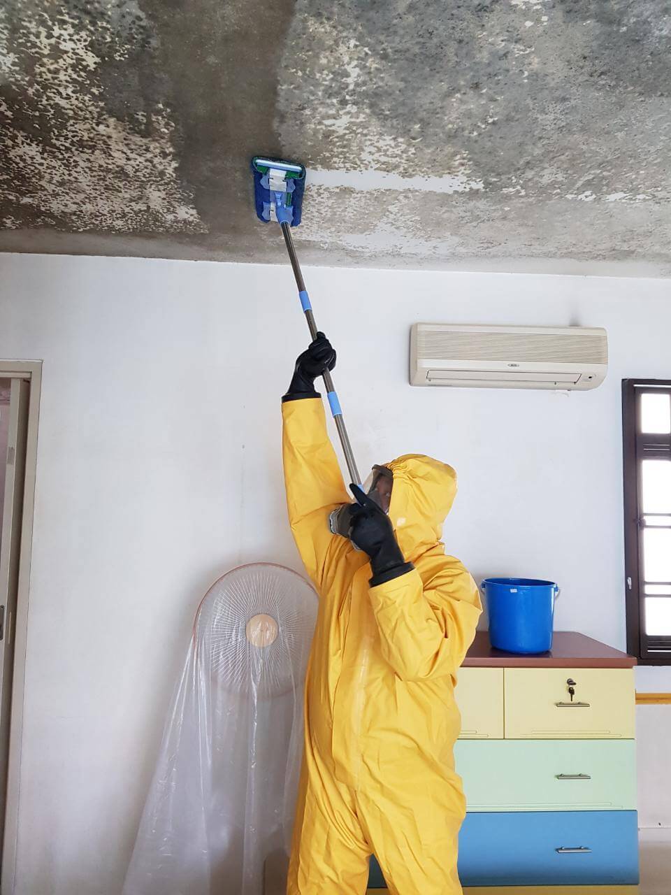 Mold cleaning for HDB and Condo