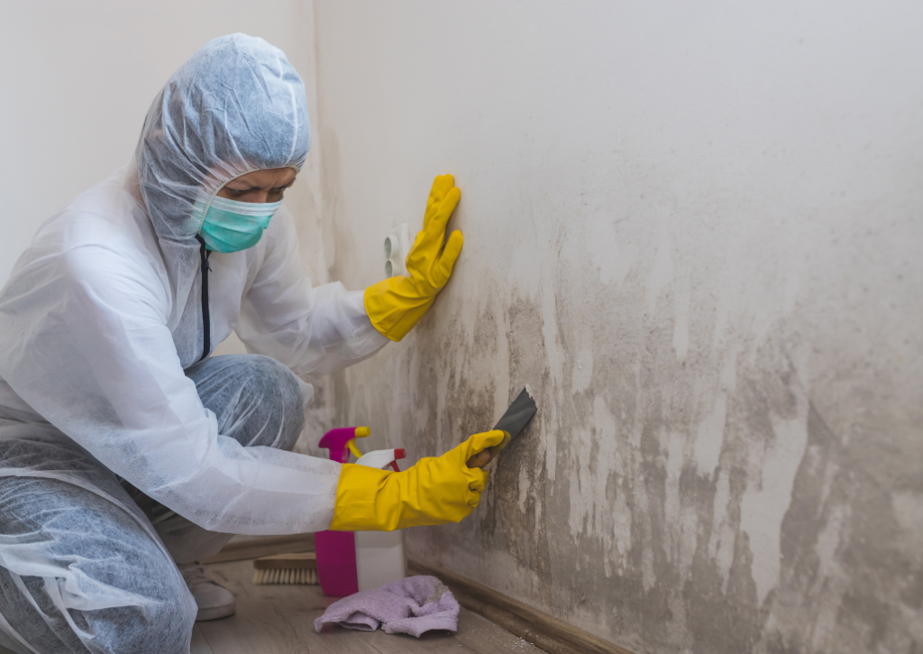 Guidelines for Mold Prevention
