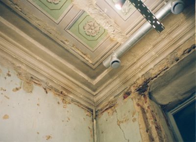 Say Goodbye to Mold with Lumiair
