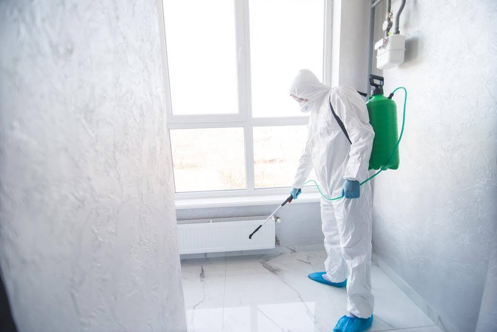 office mold removal