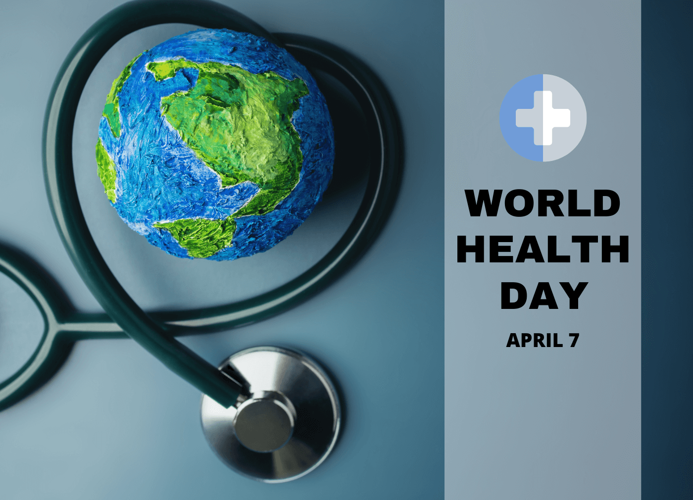 World Health Day 2024 Shedding Light on Mold Issues in Singapore